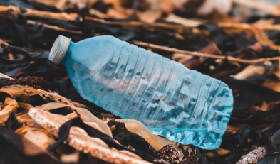 plastic bottle chemical exposure menopause