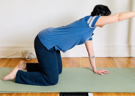 Shoulder mobilization exercises