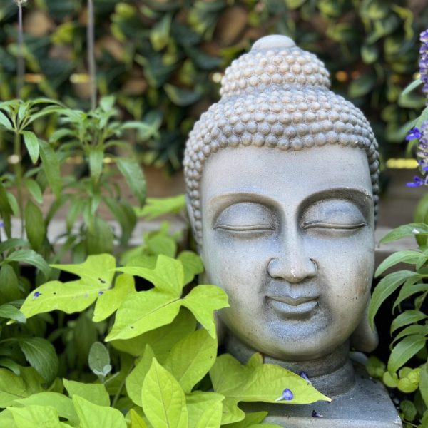 Midlife Vitality - Membership Options with Cindy Willems - Health, Wellbeing, Traditional Chinese Medicine - TCM, Pilates, Nutrition, Aging, Menopause, Hormones, Women